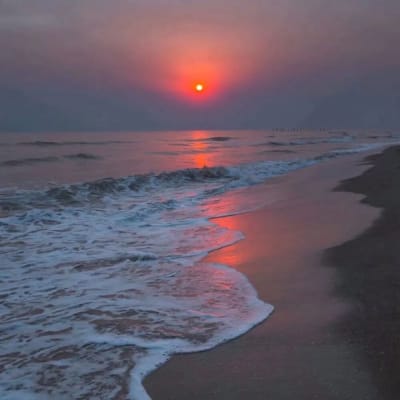 หงา คาราวาน avatar